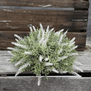 A small green plant with white flowers in a gray pot on wooden surface.